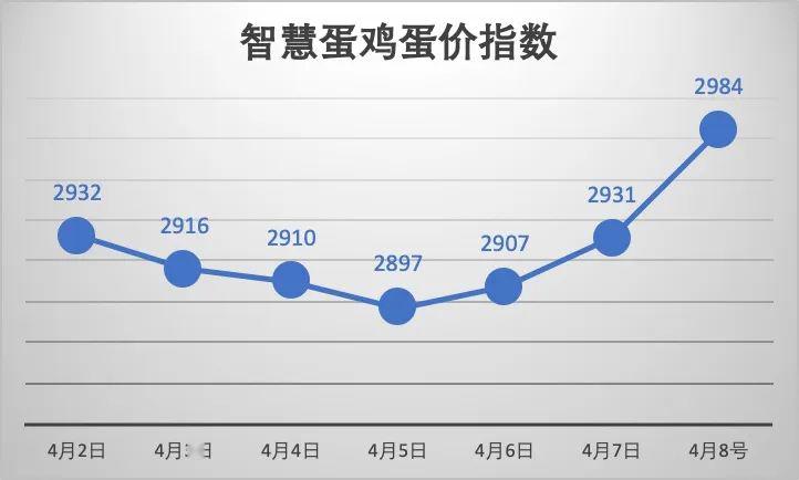 鸡蛋今日最新消息,鸡蛋今日最新消息，市场走势、产业动态与未来展望