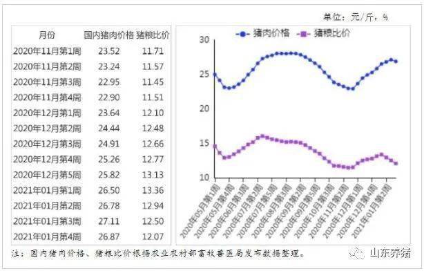 资讯 第331页