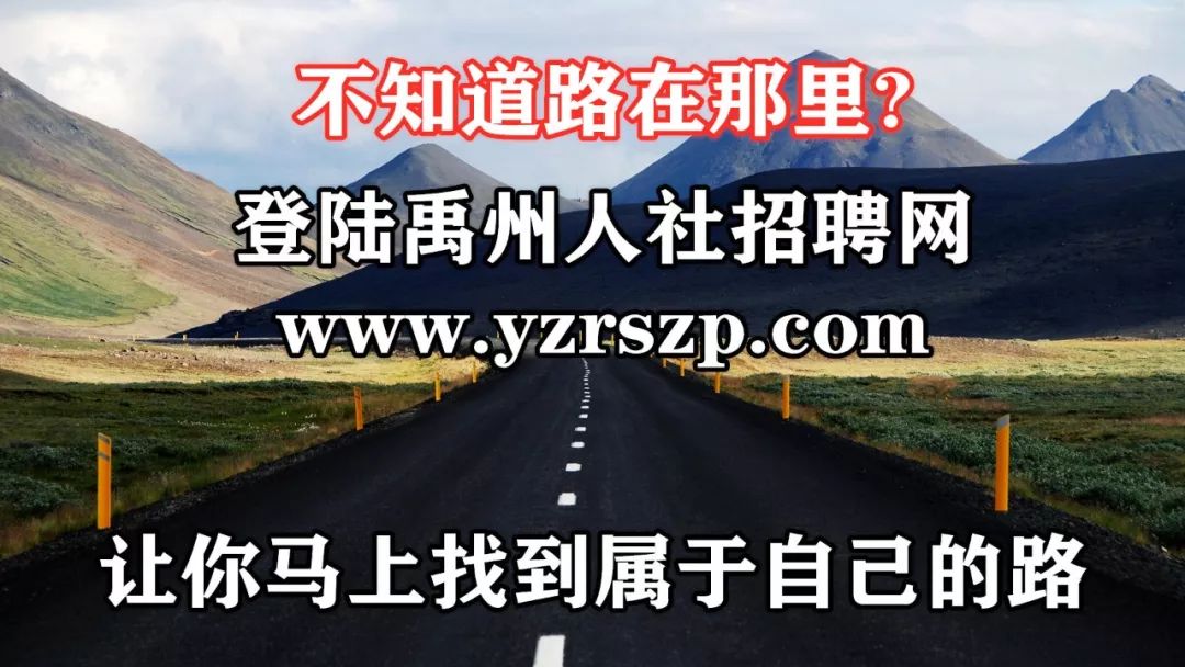 禹州招聘网最新招聘,禹州招聘网最新招聘动态深度解析