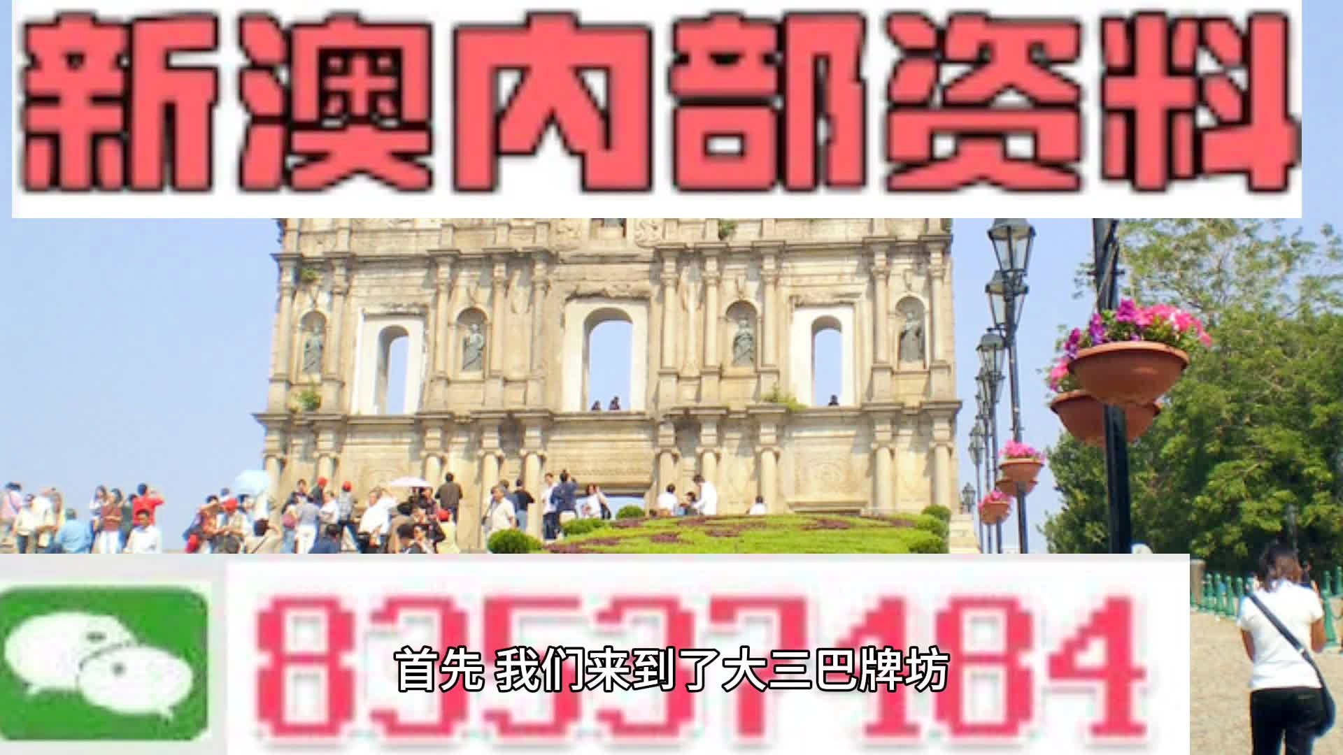 2024澳门精准正版图库,关于澳门精准正版图库，一个关于犯罪与法律的探讨