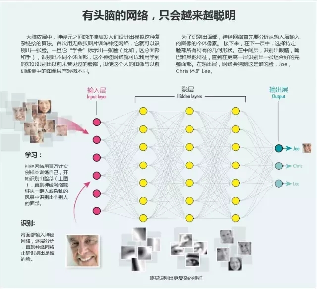 一码一肖100准码,一码一肖，揭秘精准预测的神秘面纱与深度解读准码背后的秘密