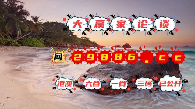 澳门王中王100的资料2023,澳门王中王2023年资料解析与回顾