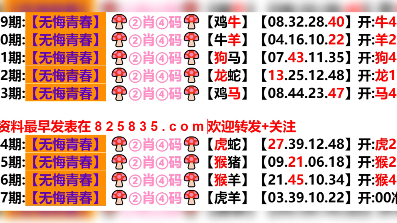 2024新奥门天天开好彩大全85期,新奥门天天开好彩大全 85期精彩解析与预测