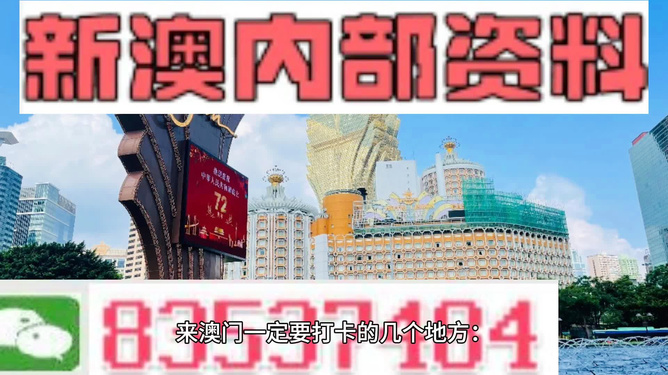 2025新澳最快最新资料,探索未来，2025新澳最快最新资料解析