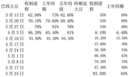 最准一码一肖100%噢,揭秘最准一码一肖，探寻预测真相的奇幻之旅（100%准确率背后的秘密）