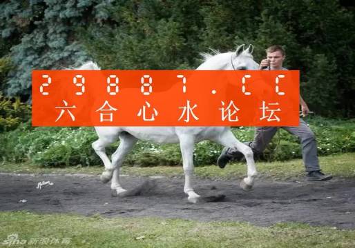 7777788888跑狗论坛资料,探索跑狗论坛，77777与88888的交汇点