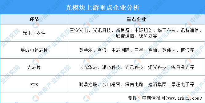 2025年新跑狗图最新版,探索新跑狗图最新版，预测与策略分析（2025年展望）