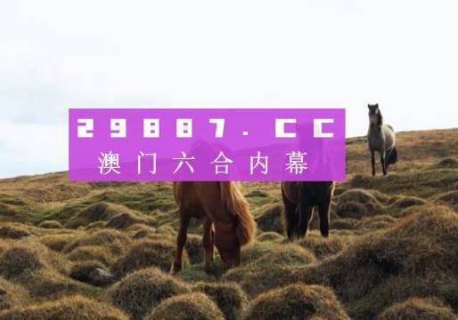 澳门最精准真正最精准龙门客栈087期 48-29-41-22-10-14T：28,澳门最精准真正最精准龙门客栈087期揭秘，探寻幸运之门背后的秘密