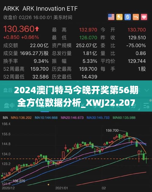 2025年今晚澳门特马077期 33-06-28-32-23-10T：31,探索未来之门，澳门特马第077期与数字的秘密