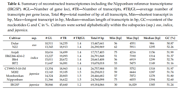 2025新澳正版资料018期 04-18-29-35-37-44N：42,探索2025新澳正版资料第018期，数字组合的魅力与策略