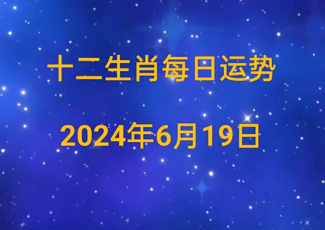 2025十二生肖49个码004期 04-49-26-19-30-44T：10,探索十二生肖与彩票密码，2025年第49期彩票预测解析