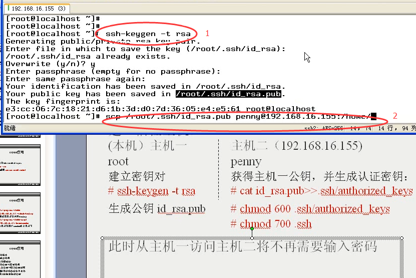 澳门三肖三码精准100%公司认证039期 03-08-12-15-16-39C：27,澳门三肖三码精准100%公司认证，揭秘彩票背后的秘密与策略解读第X期（以公司认证039期为例）