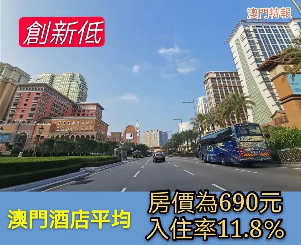 澳门新三码必中一免费043期 03-06-15-26-34-42Y：06,澳门新三码必中一免费解析，探索数字背后的秘密（第043期）