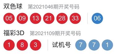 2025新年澳门天天彩免费大全049期 02-04-09-25-28-45R：48,探索澳门天天彩，新年新机遇——从049期看未来趋势